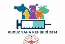 Kuduz Saha Rehberi