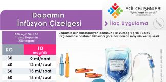 Dopamin Uygulama Akıl Kartı