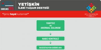 Yetişkin İleri Yaşam Desteği Akıl Kartı