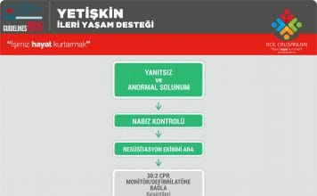 Yetişkin İleri Yaşam Desteği Akıl Kartı