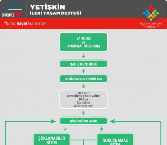 Yetişkin İleri Yaşam Desteği Akıl Kartı
