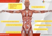 Kritik Hastada Yatakbaşı USG Değerlendirilmesi Akıl Kartı