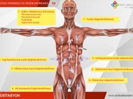 Kritik Hastada Yatakbaşı USG Değerlendirilmesi Akıl Kartı