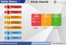 Wells Skoru Akıl Kartı
