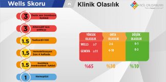 Wells Skoru Akıl Kartı