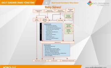 İskemik İnme Yatış Süreci Akıl Kartı