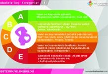 Gebelikte İlaç Kategorileri Akıl Kartı