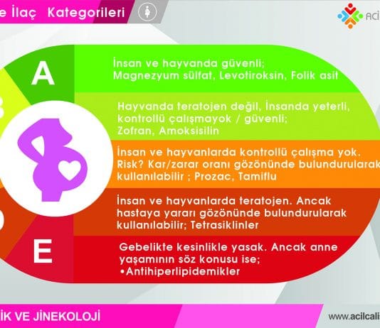 Gebelikte İlaç Kategorileri Akıl Kartı