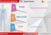 Akut Koroner Sendrom Tanım Akıl Kartı