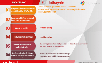 Pacemaker Akıl Kartı