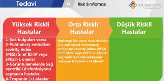 Pulmoner Tromboemboli Tedavi Risk Sınıflaması