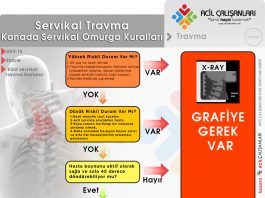 Kanada Spinal Kuralları Servikal Yaralanmalar Akıl Kartı