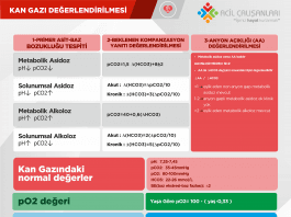 Hızlı Kan Gazı Değerlendirmesi Akıl Kartı