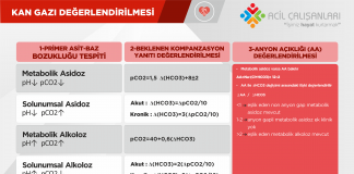 Hızlı Kan Gazı Değerlendirmesi Akıl Kartı