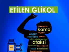 Etilen Glikol Zehirlenmeleri