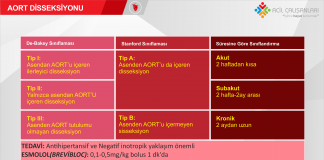 Aort Diseksiyonu Sınıflaması Akıl Kartı