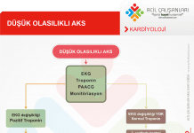 Düşük Olasılıklı AKS Akıl Kartı