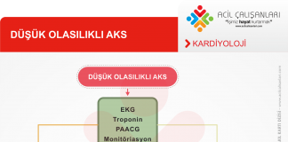 Düşük Olasılıklı AKS Akıl Kartı