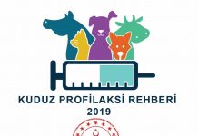 Kuduz Profilaksi Rehberi 2019