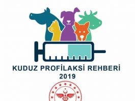 Kuduz Profilaksi Rehberi 2019