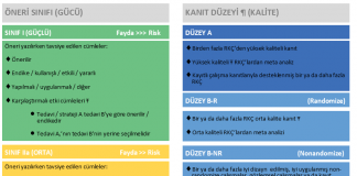 Sınıf ve Kanıt Düzeyi Tablosu
