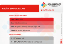 Göğüs Ağrısı Sınıflaması Akıl Kartı