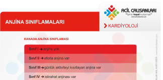 Göğüs Ağrısı Sınıflaması Akıl Kartı