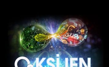 Oksijenizasyon Yöntemleri