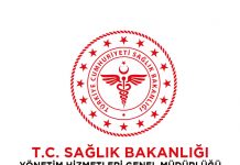 Atama ve Yer Değiştirme Yönetmeliği 2024