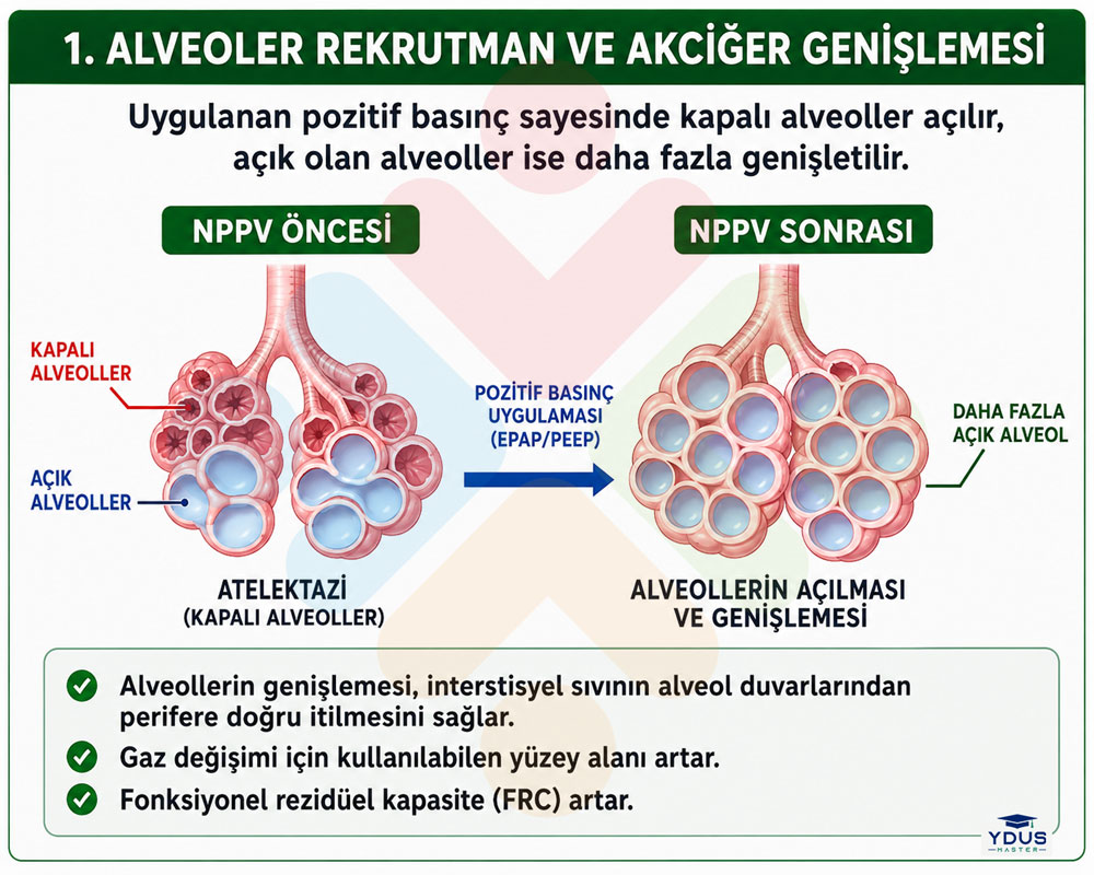 Alveoler rekrutman