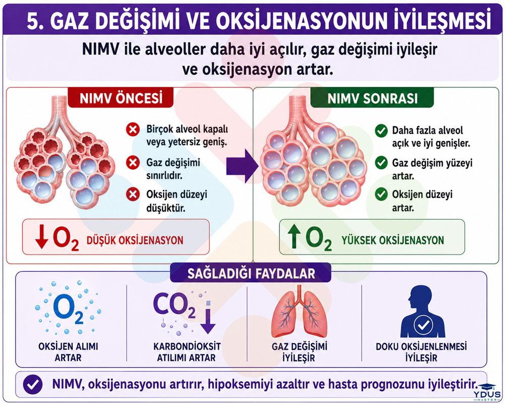 NIMV sonuçları