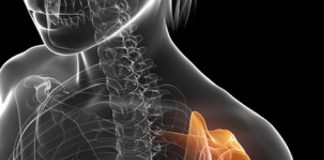 Anterior Omuz Çıkığı