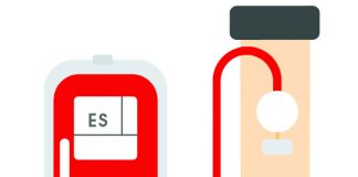 Eritrosit Süspansiyonu (ES)