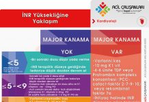 INR Yüksekliğine Yaklaşım