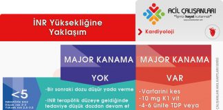 INR Yüksekliğine Yaklaşım