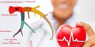Sol Ana Koroner Arter (LMCA) Tıkanıklığı