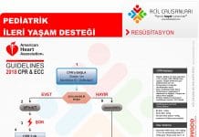 Pediatrik İleri Yaşam Desteği AHA 2018 Akıl Kartı