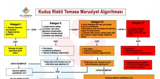 Kuduz Riskli Temasa Mazuriyet Algoritması