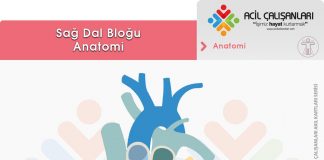 Sağ Dal Bloğu (RBBB)