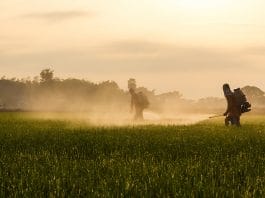 Organofosfat ve Karbamat Zehirlenmeleri