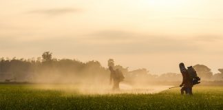 Organofosfat ve Karbamat Zehirlenmeleri