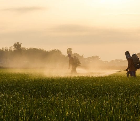 Organofosfat ve Karbamat Zehirlenmeleri