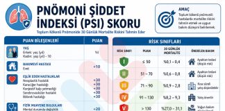 Pnömoni Şiddet İndeks Skoru (PSI)