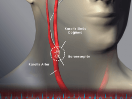 Valsalva Manevrası (Vagal Manevra)