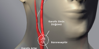 Valsalva Manevrası (Vagal Manevra)