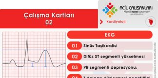 Çalışma Kartları 02