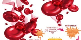 Hemostaz – Fibrinoliz