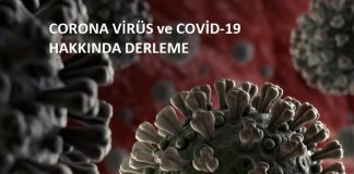 Corona Virüs ve COVID-19 Hakkında Derleme