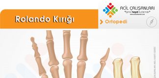 Rolando Kırığı Akıl Kartı