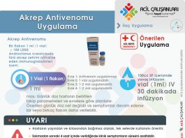 Akrep Antivenomu Uygulama Akıl Kartı